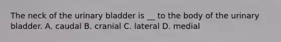 The neck of the urinary bladder is __ to the body of the urinary bladder. A. caudal B. cranial C. lateral D. medial