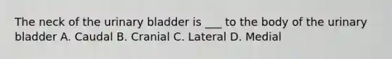 The neck of the urinary bladder is ___ to the body of the urinary bladder A. Caudal B. Cranial C. Lateral D. Medial