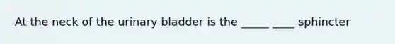 At the neck of the urinary bladder is the _____ ____ sphincter