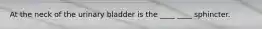 At the neck of the urinary bladder is the ____ ____ sphincter.