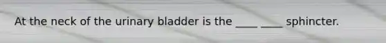 At the neck of the urinary bladder is the ____ ____ sphincter.