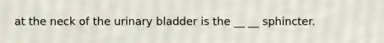 at the neck of the urinary bladder is the __ __ sphincter.