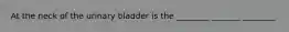 At the neck of the urinary bladder is the ________ _______ ________