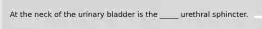 At the neck of the urinary bladder is the _____ urethral sphincter.