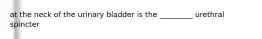 at the neck of the urinary bladder is the _________ urethral spincter