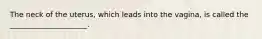 The neck of the uterus, which leads into the vagina, is called the _____________________.
