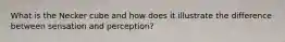 What is the Necker cube and how does it illustrate the difference between sensation and perception?
