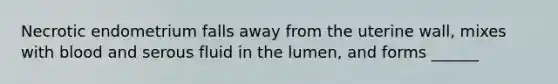 Necrotic endometrium falls away from the uterine wall, mixes with blood and serous fluid in the lumen, and forms ______