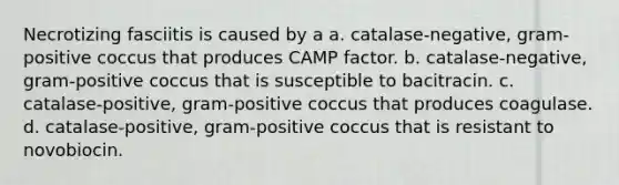 Necrotizing fasciitis is caused by a a. catalase-negative, gram-positive coccus that produces CAMP factor. b. catalase-negative, gram-positive coccus that is susceptible to bacitracin. c. catalase-positive, gram-positive coccus that produces coagulase. d. catalase-positive, gram-positive coccus that is resistant to novobiocin.