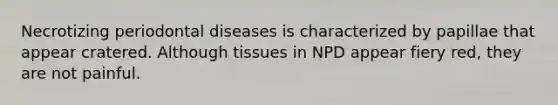 Necrotizing periodontal diseases is characterized by papillae that appear cratered. Although tissues in NPD appear fiery red, they are not painful.