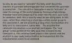 So why do we need to "activate" the fatty acid? Recall the reaction of pyruvate dehydrogenase that converted the pyruvate to acetylCoA... The role of the coenzyme A was to "activate" or raise the energy of the acetyl group by forming a high energy thioester bond and preparing it to enter into the citric acid cycle for oxidation. Well, this is exactly what we are doing here. In this case, rather than attaching a short two-carbon acetyl group to the coenzyme A, we are attaching a long chain hydrocarbon of a fatty acid to coenzyme A. Same idea... The enzyme that catalyzes this reaction is an acylCoA synthetase. The "acyl group" is the portion of the fatty acid that is bound to the coenzyme A. This reaction takes place in the cytosol, and the acylCoA is now ready and primed to be transported into the mitochondrial matrix to be oxidized.