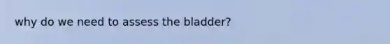 why do we need to assess the bladder?