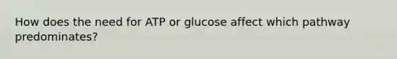 How does the need for ATP or glucose affect which pathway predominates?