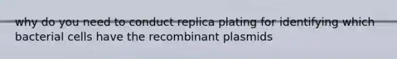 why do you need to conduct replica plating for identifying which bacterial cells have the recombinant plasmids