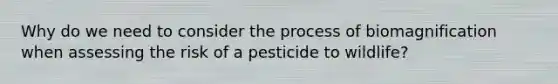 Why do we need to consider the process of biomagnification when assessing the risk of a pesticide to wildlife?