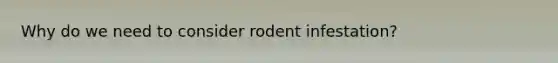 Why do we need to consider rodent infestation?