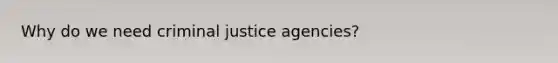 Why do we need criminal justice agencies?