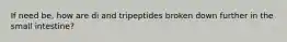 If need be, how are di and tripeptides broken down further in the small intestine?