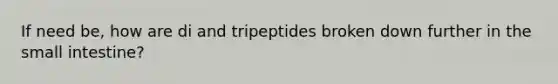 If need be, how are di and tripeptides broken down further in <a href='https://www.questionai.com/knowledge/kt623fh5xn-the-small-intestine' class='anchor-knowledge'>the small intestine</a>?