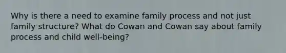 Why is there a need to examine family process and not just family structure? What do Cowan and Cowan say about family process and child well-being?