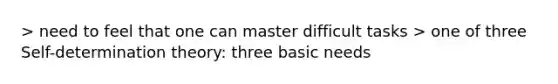 > need to feel that one can master difficult tasks > one of three Self-determination theory: three basic needs