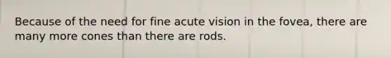 Because of the need for fine acute vision in the fovea, there are many more cones than there are rods.