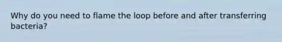 Why do you need to flame the loop before and after transferring bacteria?