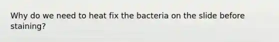 Why do we need to heat fix the bacteria on the slide before staining?