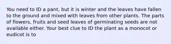 You need to ID a pant, but it is winter and the leaves have fallen to the ground and mixed with leaves from other plants. The parts of flowers, fruits and seed leaves of germinating seeds are not available either. Your best clue to ID the plant as a monocot or eudicot is to