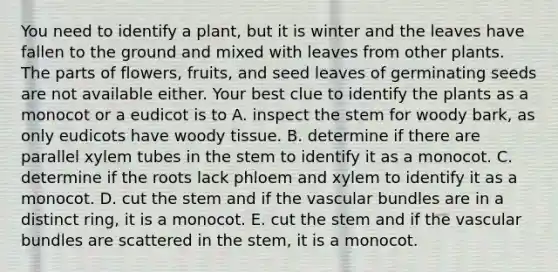 You need to identify a plant, but it is winter and the leaves have fallen to the ground and mixed with leaves from other plants. The parts of flowers, fruits, and seed leaves of germinating seeds are not available either. Your best clue to identify the plants as a monocot or a eudicot is to A. inspect the stem for woody bark, as only eudicots have woody tissue. B. determine if there are parallel xylem tubes in the stem to identify it as a monocot. C. determine if the roots lack phloem and xylem to identify it as a monocot. D. cut the stem and if the vascular bundles are in a distinct ring, it is a monocot. E. cut the stem and if the vascular bundles are scattered in the stem, it is a monocot.