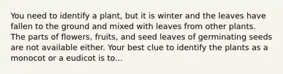 You need to identify a plant, but it is winter and the leaves have fallen to the ground and mixed with leaves from other plants. The parts of flowers, fruits, and seed leaves of germinating seeds are not available either. Your best clue to identify the plants as a monocot or a eudicot is to...