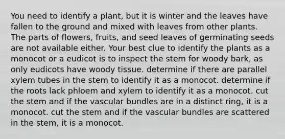 You need to identify a plant, but it is winter and the leaves have fallen to the ground and mixed with leaves from other plants. The parts of flowers, fruits, and seed leaves of germinating seeds are not available either. Your best clue to identify the plants as a monocot or a eudicot is to inspect the stem for woody bark, as only eudicots have woody tissue. determine if there are parallel xylem tubes in the stem to identify it as a monocot. determine if the roots lack phloem and xylem to identify it as a monocot. cut the stem and if the vascular bundles are in a distinct ring, it is a monocot. cut the stem and if the vascular bundles are scattered in the stem, it is a monocot.