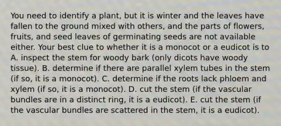 You need to identify a plant, but it is winter and the leaves have fallen to the ground mixed with others, and the parts of flowers, fruits, and seed leaves of germinating seeds are not available either. Your best clue to whether it is a monocot or a eudicot is to A. inspect the stem for woody bark (only dicots have woody tissue). B. determine if there are parallel xylem tubes in the stem (if so, it is a monocot). C. determine if the roots lack phloem and xylem (if so, it is a monocot). D. cut the stem (if the vascular bundles are in a distinct ring, it is a eudicot). E. cut the stem (if the vascular bundles are scattered in the stem, it is a eudicot).