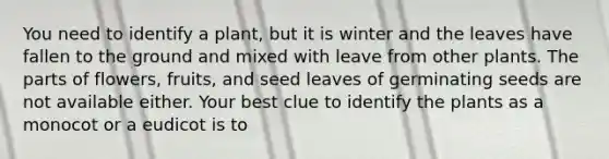 You need to identify a plant, but it is winter and the leaves have fallen to the ground and mixed with leave from other plants. The parts of flowers, fruits, and seed leaves of germinating seeds are not available either. Your best clue to identify the plants as a monocot or a eudicot is to