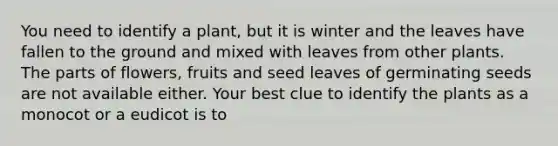 You need to identify a plant, but it is winter and the leaves have fallen to the ground and mixed with leaves from other plants. The parts of flowers, fruits and seed leaves of germinating seeds are not available either. Your best clue to identify the plants as a monocot or a eudicot is to