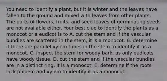 You need to identify a plant, but it is winter and the leaves have fallen to the ground and mixed with leaves from other plants. The parts of flowers, fruits, and seed leaves of germinating seeds are not available either. Your best clue to identify the plants as a monocot or a eudicot is to A. cut the stem and if the vascular bundles are scattered in the stem, it is a monocot. B. determine if there are parallel xylem tubes in the stem to identify it as a monocot. C. inspect the stem for woody bark, as only eudicots have woody tissue. D. cut the stem and if the vascular bundles are in a distinct ring, it is a monocot. E. determine if the roots lack phloem and xylem to identify it as a monocot.