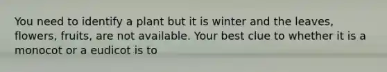 You need to identify a plant but it is winter and the leaves, flowers, fruits, are not available. Your best clue to whether it is a monocot or a eudicot is to