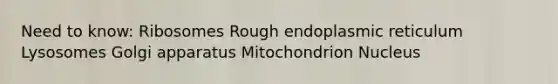 Need to know: Ribosomes Rough endoplasmic reticulum Lysosomes Golgi apparatus Mitochondrion Nucleus