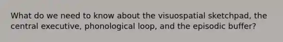 What do we need to know about the visuospatial sketchpad, the central executive, phonological loop, and the episodic buffer?