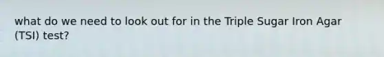what do we need to look out for in the Triple Sugar Iron Agar (TSI) test?