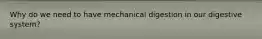 Why do we need to have mechanical digestion in our digestive system?