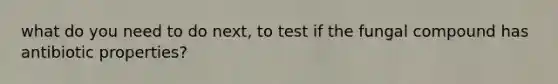 what do you need to do next, to test if the fungal compound has antibiotic properties?