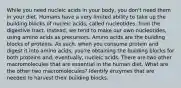 While you need nucleic acids in your body, you don't need them in your diet. Humans have a very limited ability to take up the building blocks of nucleic acids, called nucleotides, from the digestive tract. Instead, we tend to make our own nucleotides, using amino acids as precursors. Amino acids are the building blocks of proteins. As such, when you consume protein and digest it into amino acids, you're obtaining the building blocks for both proteins and, eventually, nucleic acids. There are two other macromolecules that are essential in the human diet. What are the other two macromolecules? Identify enzymes that are needed to harvest their building blocks.