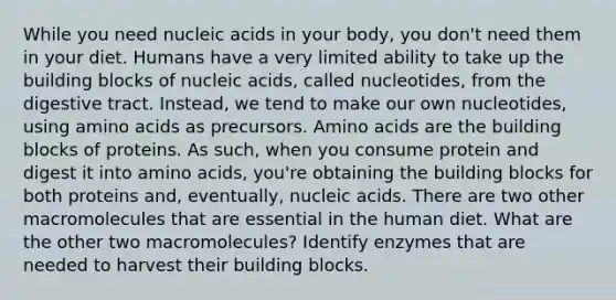 While you need nucleic acids in your body, you don't need them in your diet. Humans have a very limited ability to take up the building blocks of nucleic acids, called nucleotides, from the digestive tract. Instead, we tend to make our own nucleotides, using <a href='https://www.questionai.com/knowledge/k9gb720LCl-amino-acids' class='anchor-knowledge'>amino acids</a> as precursors. Amino acids are the building blocks of proteins. As such, when you consume protein and digest it into amino acids, you're obtaining the building blocks for both proteins and, eventually, nucleic acids. There are two other macromolecules that are essential in the human diet. What are the other two macromolecules? Identify enzymes that are needed to harvest their building blocks.