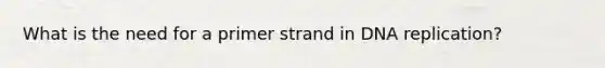 What is the need for a primer strand in DNA replication?