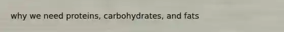 why we need proteins, carbohydrates, and fats