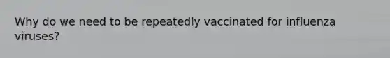 Why do we need to be repeatedly vaccinated for influenza viruses?