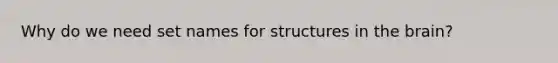 Why do we need set names for structures in <a href='https://www.questionai.com/knowledge/kLMtJeqKp6-the-brain' class='anchor-knowledge'>the brain</a>?