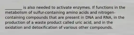 _________ is also needed to activate enzymes. If functions in the metabolism of sulfur-containing amino acids and nitrogen-containing compounds that are present in DNA and RNA, in the production of a waste product called uric acid, and in the oxidation and detoxification of various other compounds.