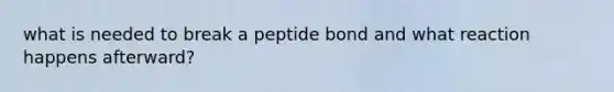 what is needed to break a peptide bond and what reaction happens afterward?